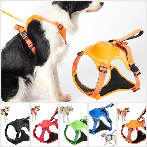 Dog harness with retractable leash Safety dog harness Outdoor training harness for pets Adjustable dog vest Explosion-proof dog collar Breathable pet harness Anti-twist leash design Automatic locking system for dogs Dog safety gear All-in-one dog harness and leash